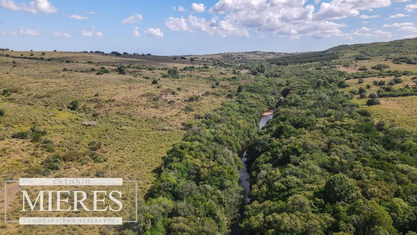 Campo de 19 ha al norte de José Ignacio con arroyo — foto 1