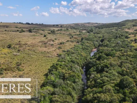 Campo de 19 ha al norte de José Ignacio con arroyo