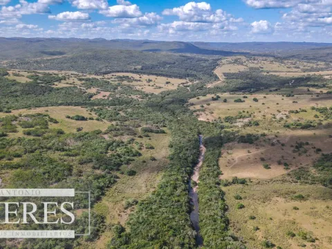 Campo de 19 ha al norte de José Ignacio con arroyo — foto 2
