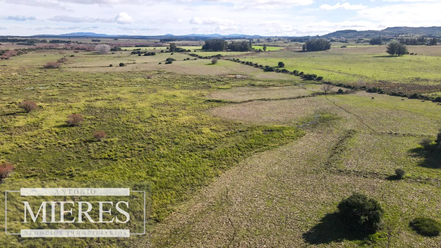 Campo de 114ha en Puntas de José Ignacio — foto 8