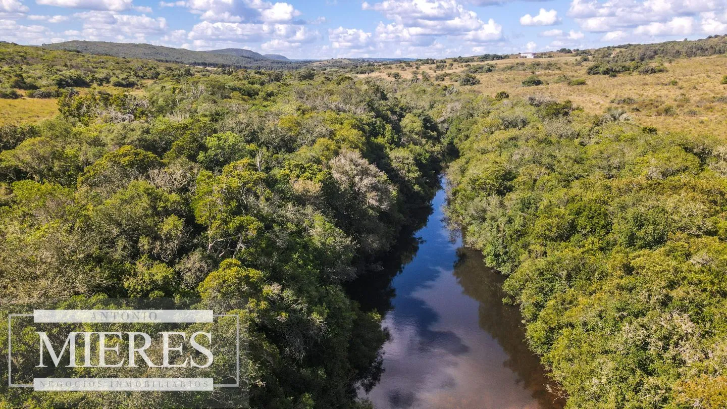Campo de 19 ha al norte de José Ignacio con arroyo — foto 3