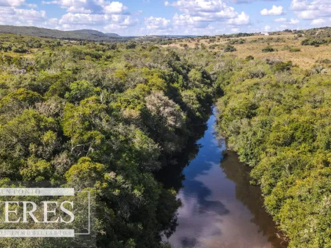 Campo de 19 ha al norte de José Ignacio con arroyo — foto 3