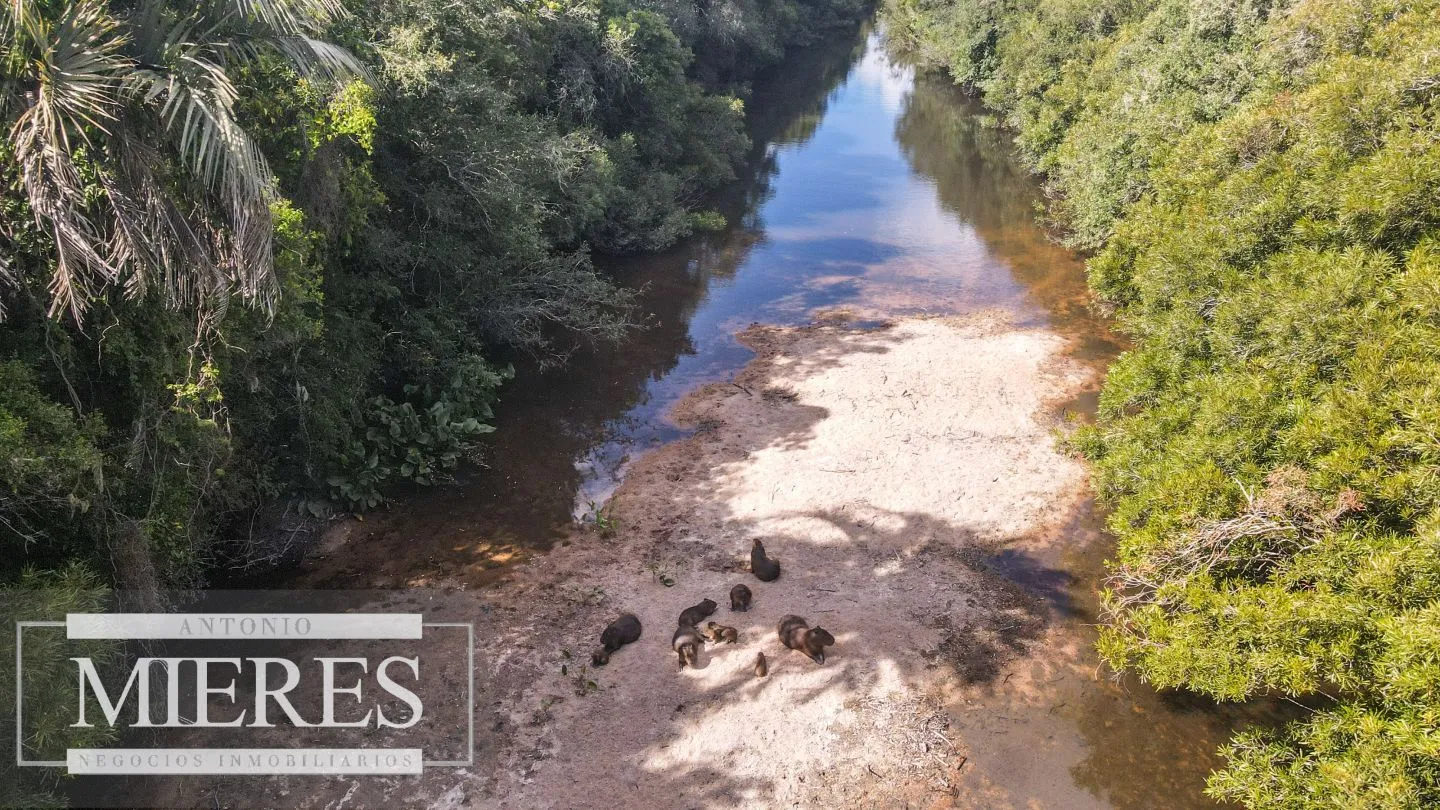 Campo de 19 ha al norte de José Ignacio con arroyo — foto 4