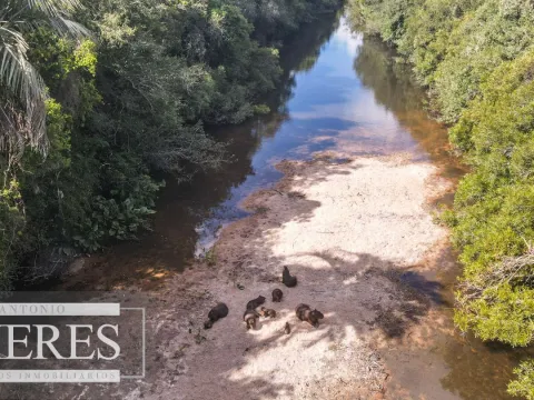 Campo de 19 ha al norte de José Ignacio con arroyo — foto 4