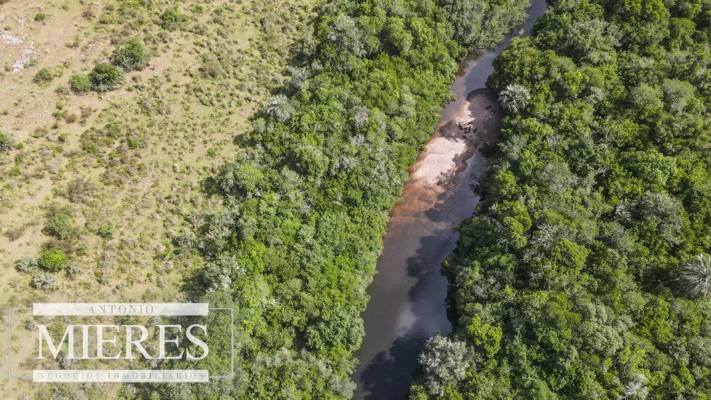 Campo de 19 ha al norte de José Ignacio con arroyo — foto 5