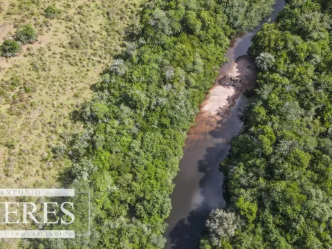 Campo de 19 ha al norte de José Ignacio con arroyo — foto 5