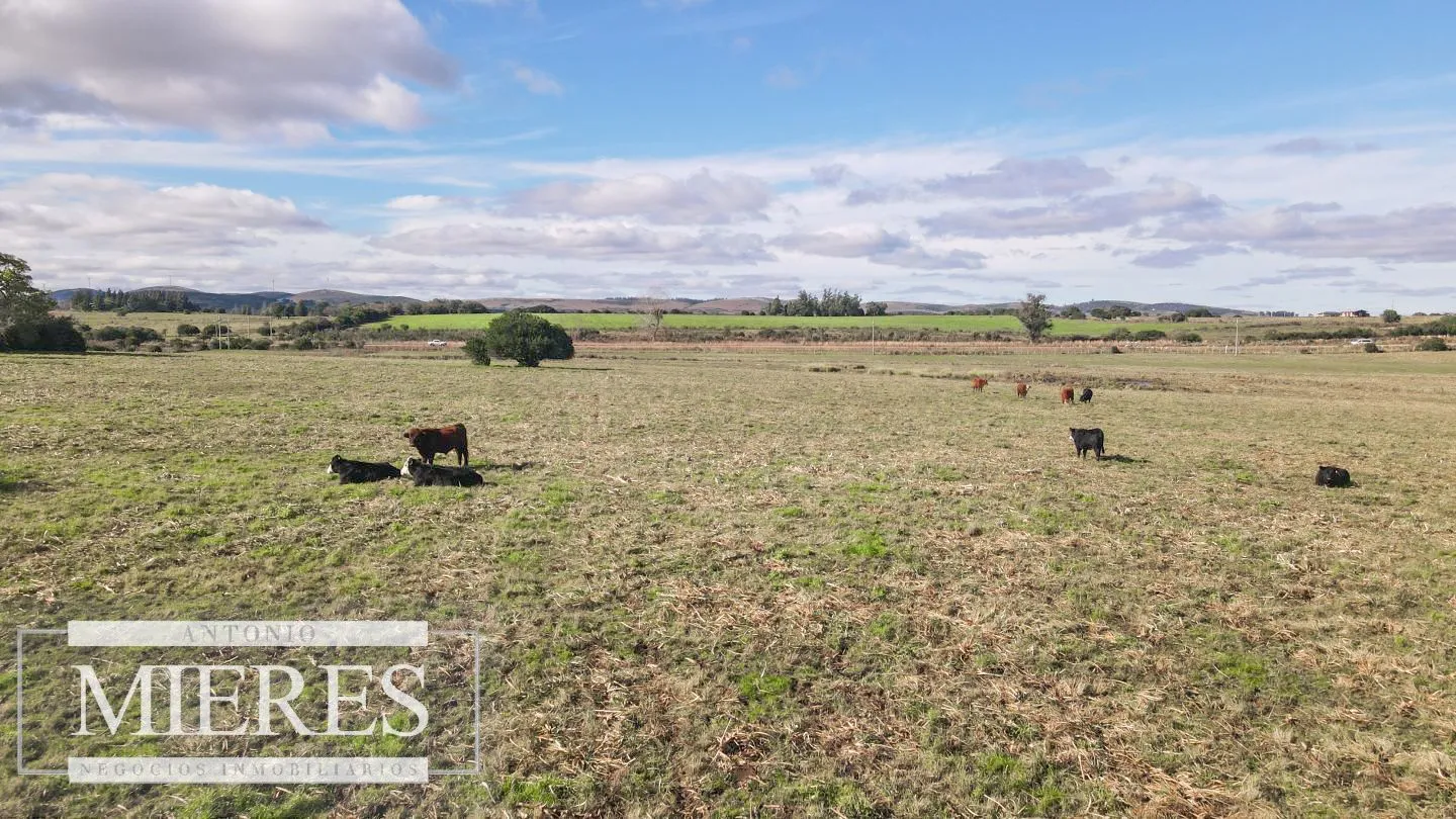 Campo de 114ha en Puntas de José Ignacio — foto 12