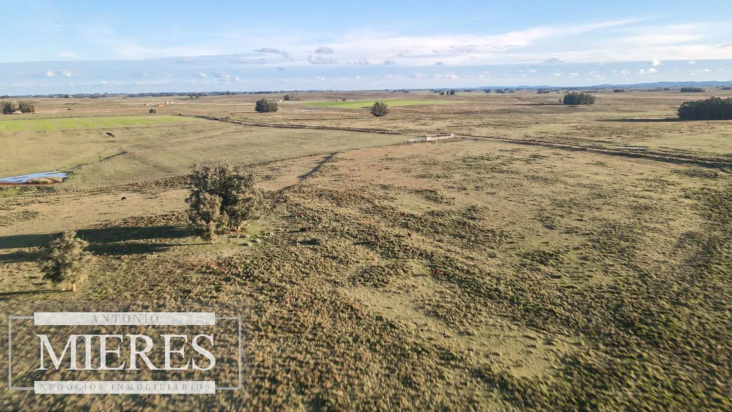 Campo de 114ha en Puntas de José Ignacio — foto 13