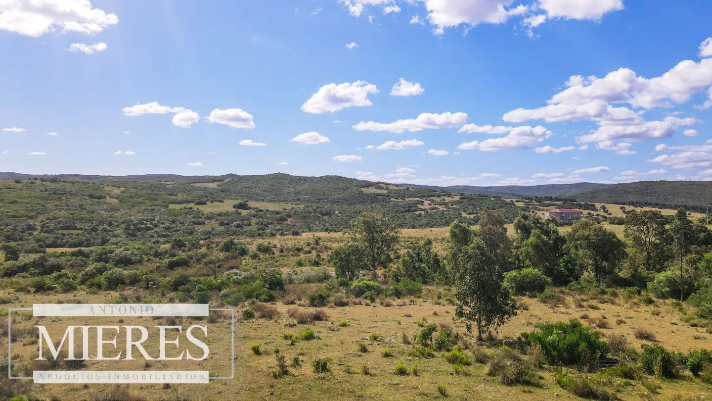 Campo de 19 ha al norte de José Ignacio con arroyo — foto 6