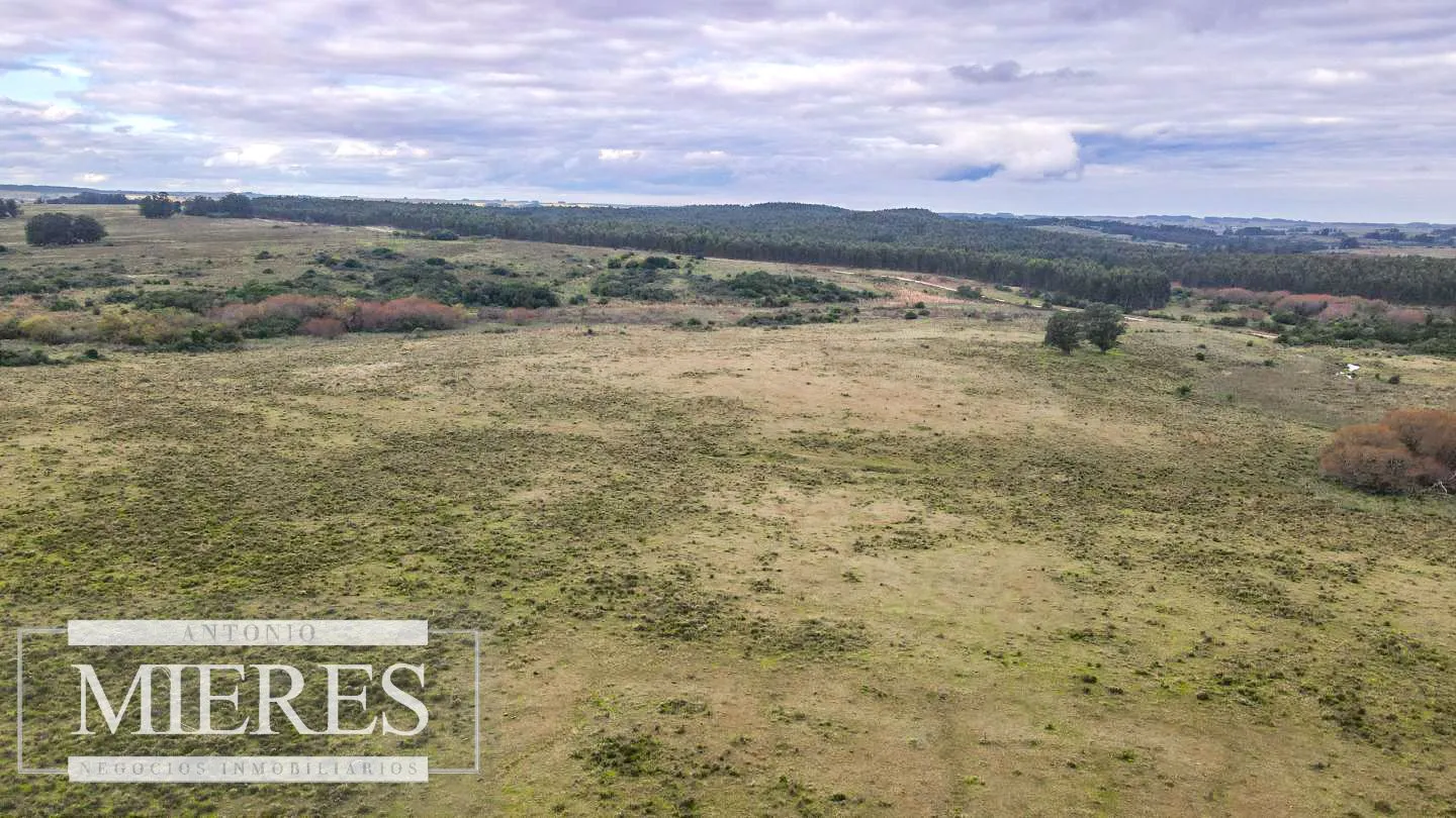 Campo de 114ha en Puntas de José Ignacio — foto 14