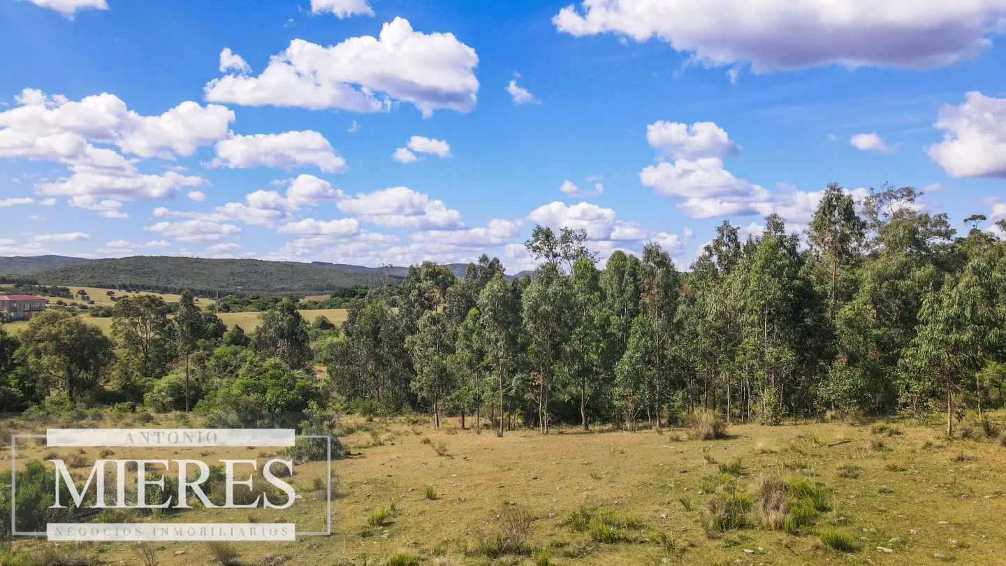 Campo de 19 ha al norte de José Ignacio con arroyo — foto 7