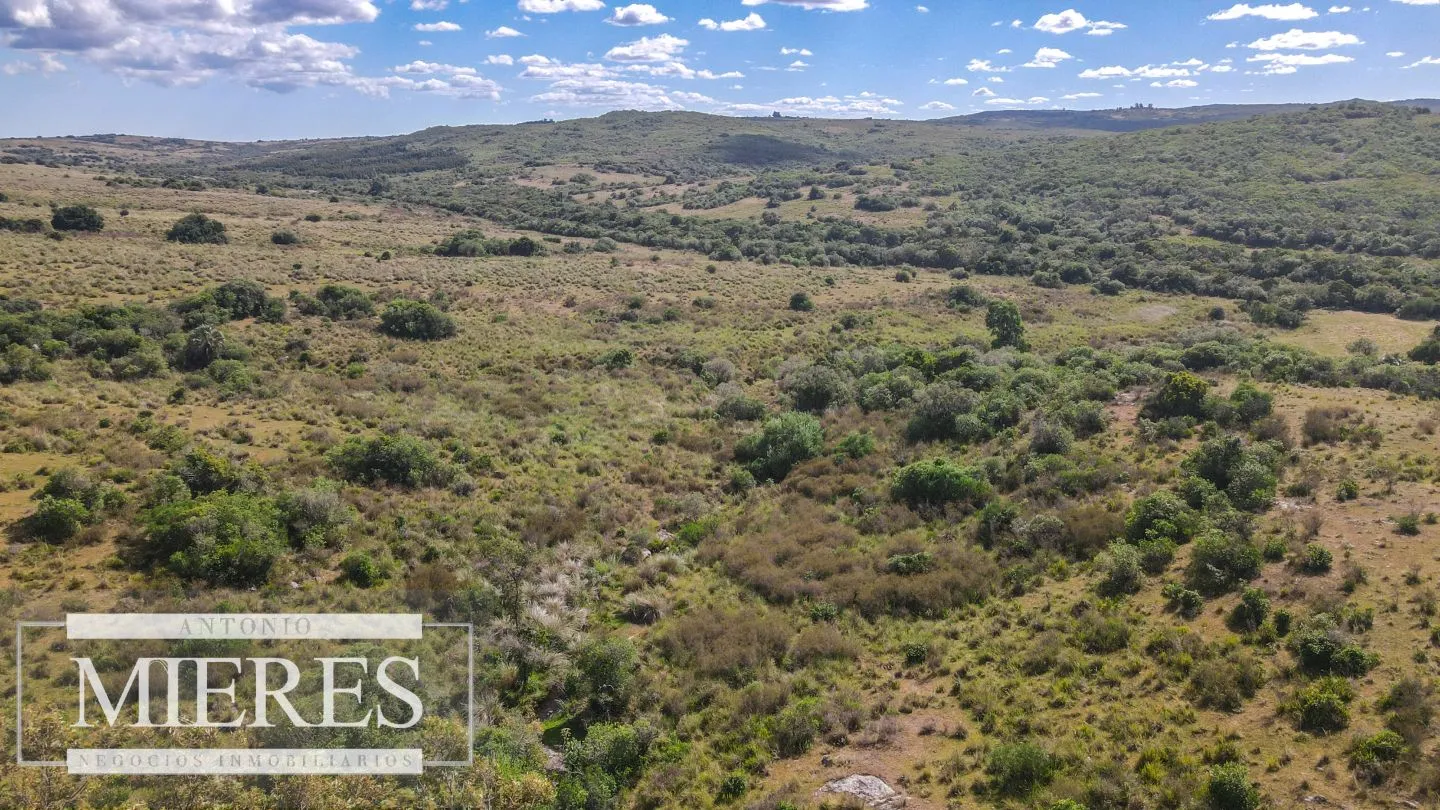 Campo de 19 ha al norte de José Ignacio con arroyo — foto 8