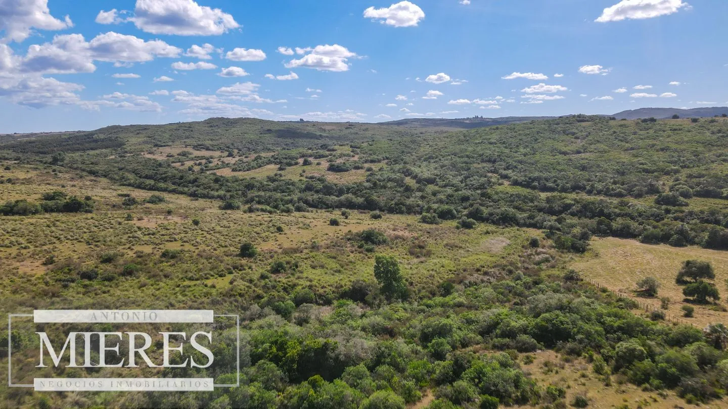 Campo de 19 ha al norte de José Ignacio con arroyo — foto 9
