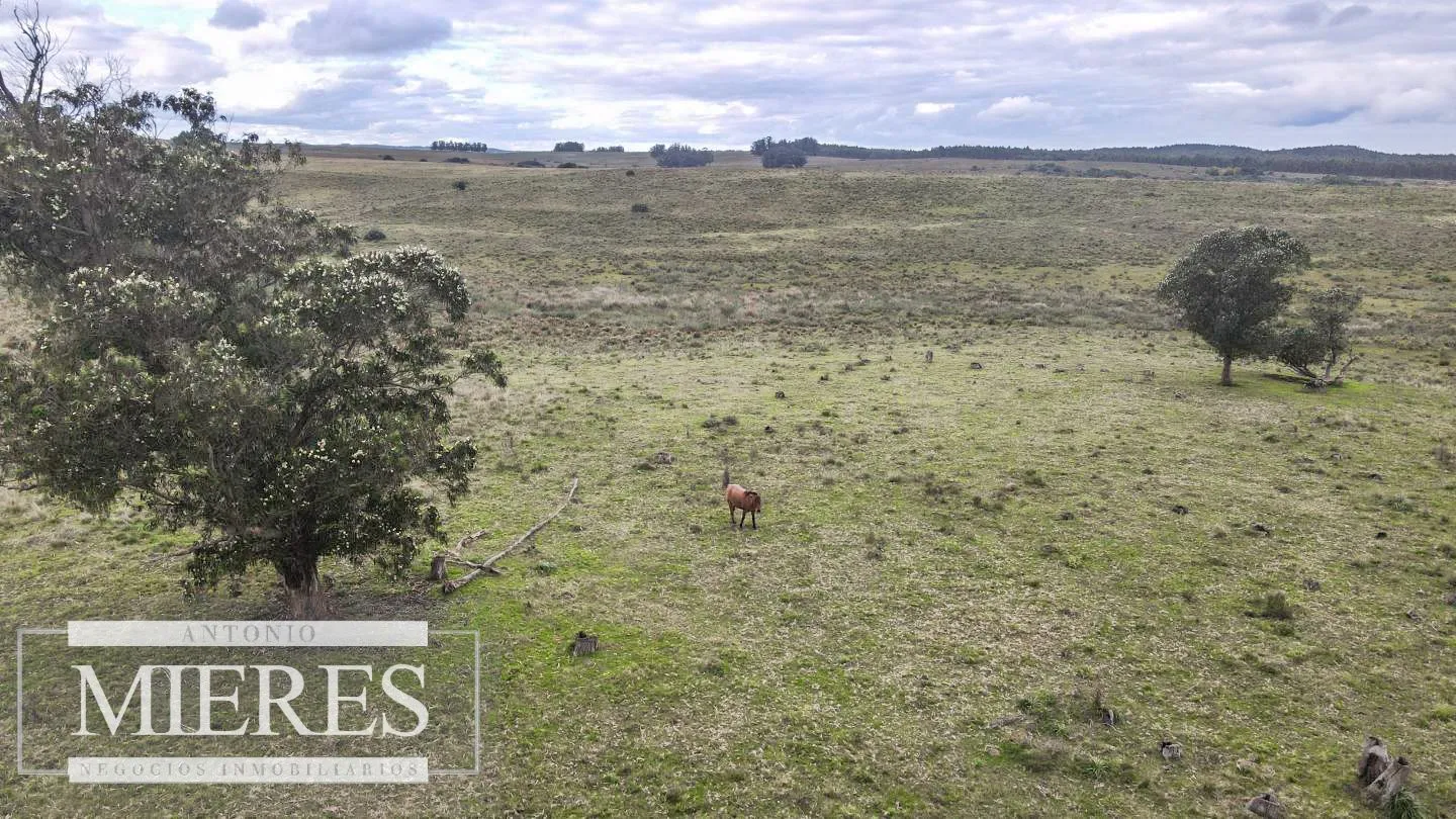 Campo de 114ha en Puntas de José Ignacio — foto 17