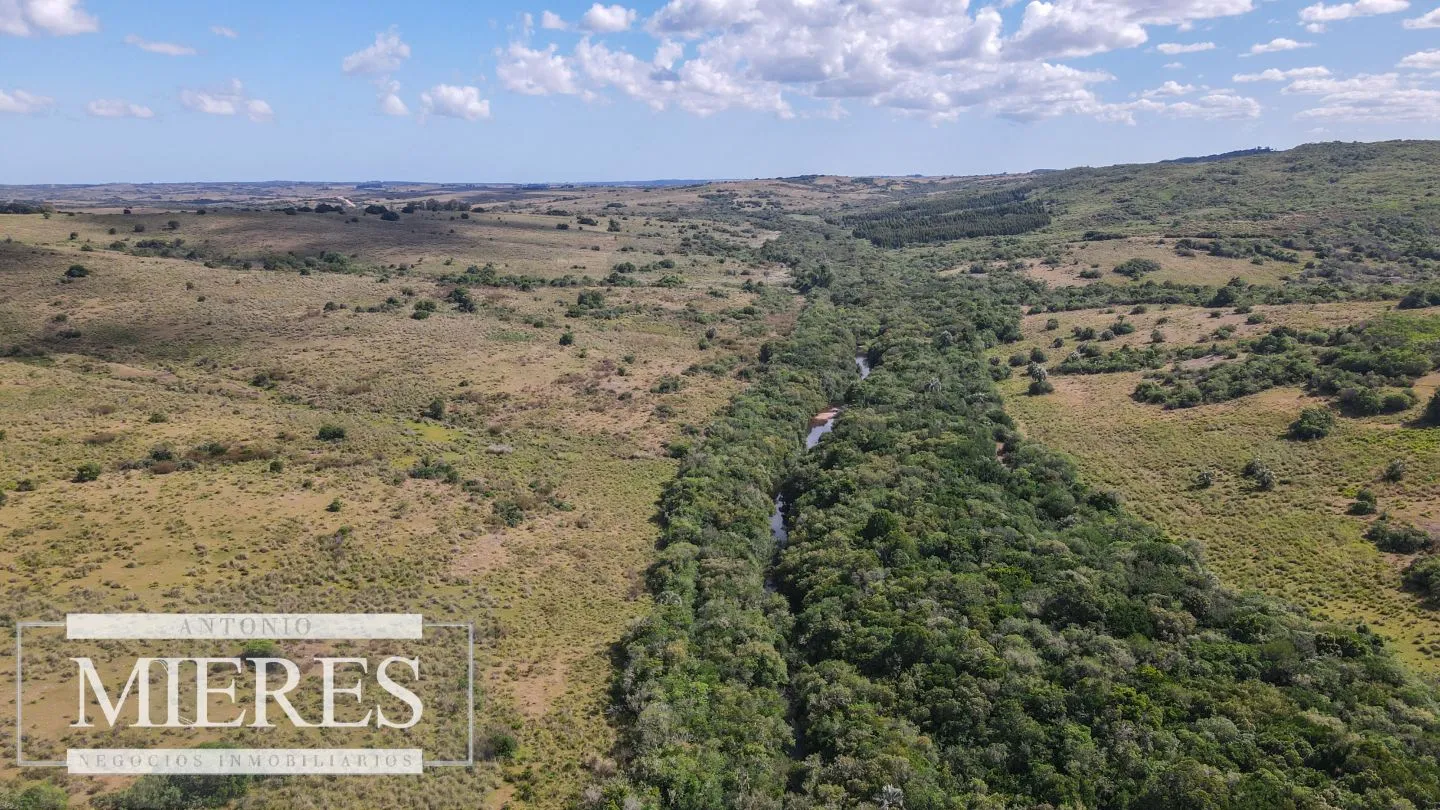 Campo de 19 ha al norte de José Ignacio con arroyo — foto 10