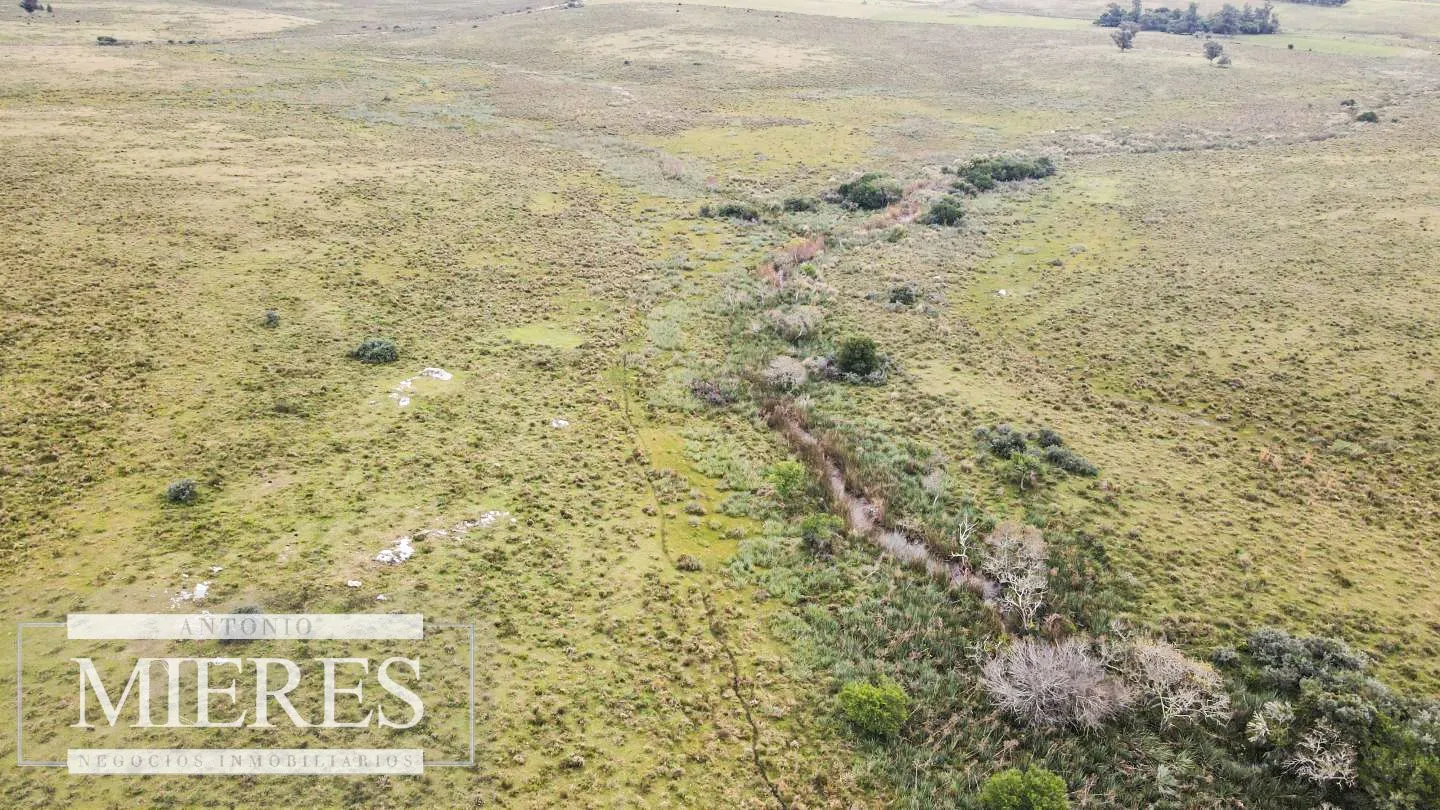 Campo de 114ha en Puntas de José Ignacio — foto 18