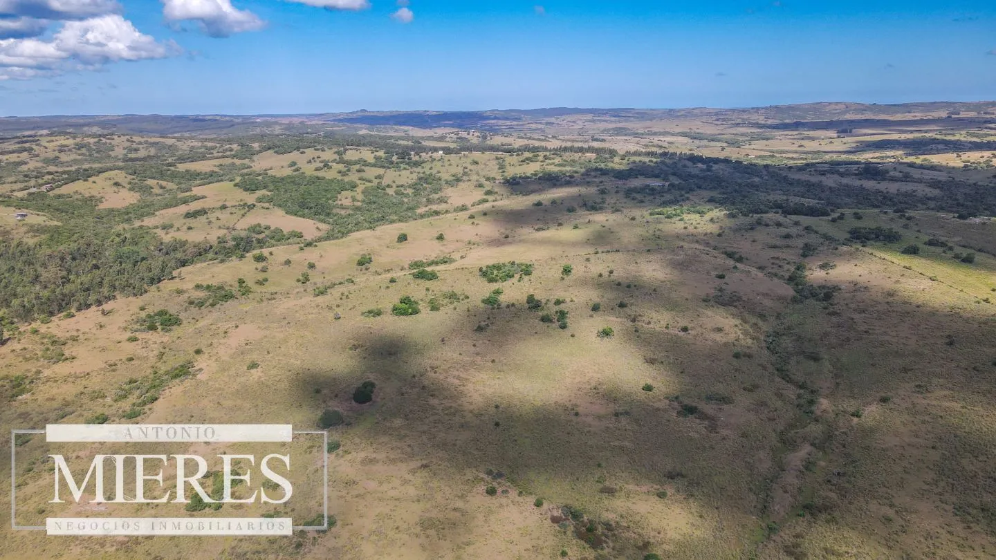 Campo de 19 ha al norte de José Ignacio con arroyo — foto 11