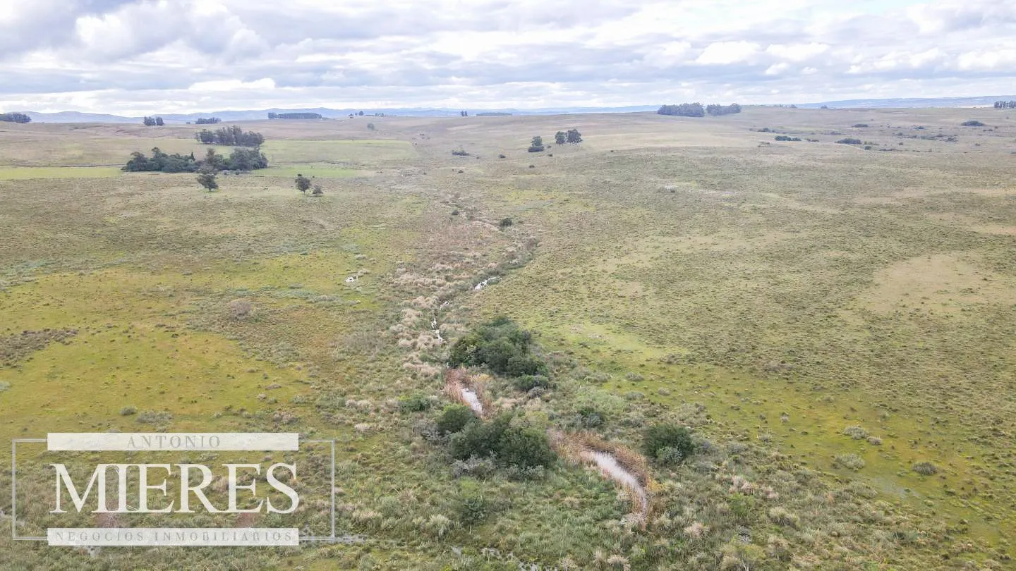 Campo de 114ha en Puntas de José Ignacio — foto 19