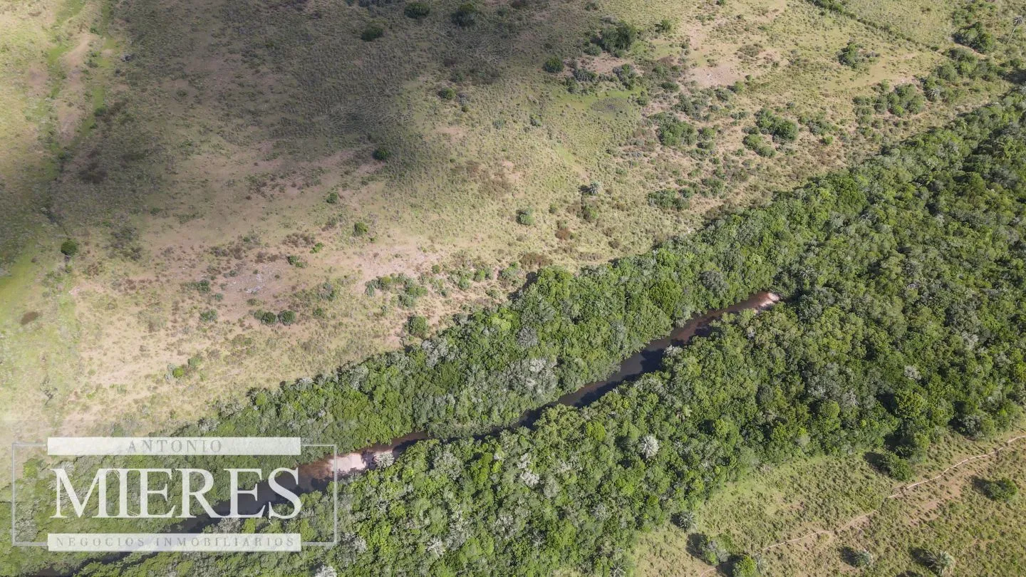Campo de 19 ha al norte de José Ignacio con arroyo — foto 12