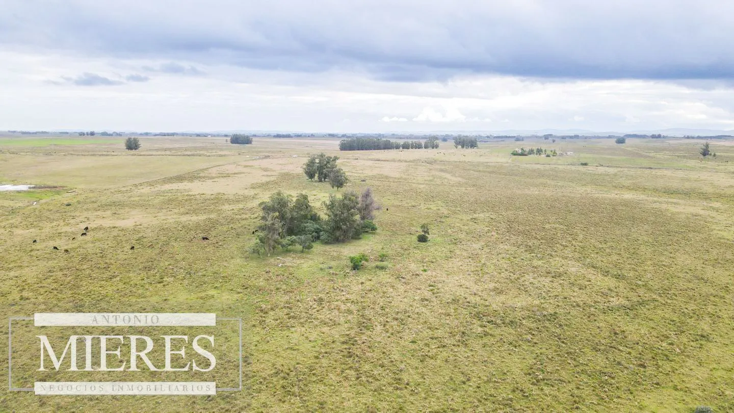 Campo de 114ha en Puntas de José Ignacio — foto 20