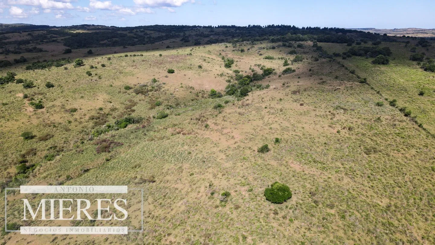 Campo de 19 ha al norte de José Ignacio con arroyo — foto 13
