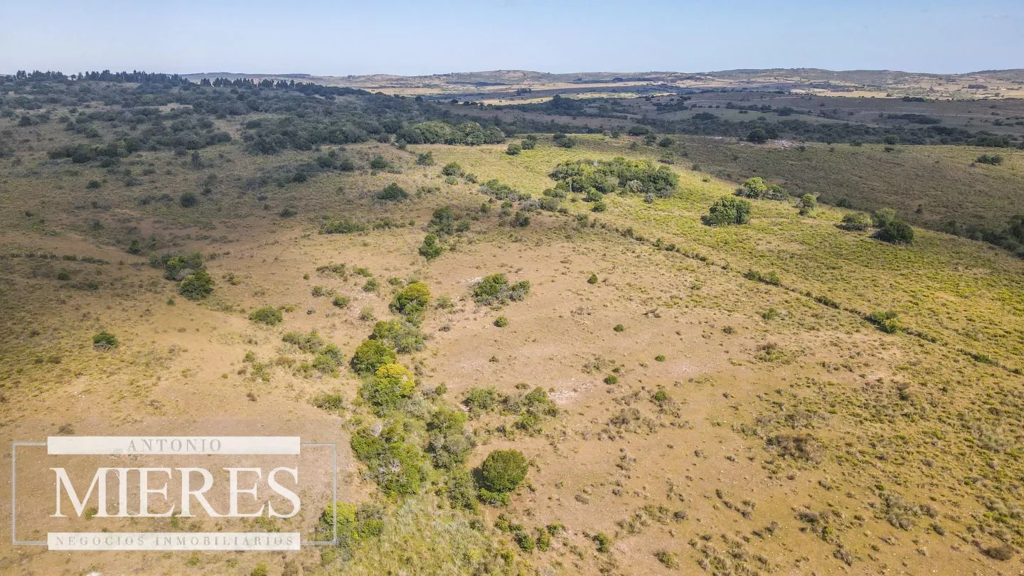 Campo de 19 ha al norte de José Ignacio con arroyo — foto 14
