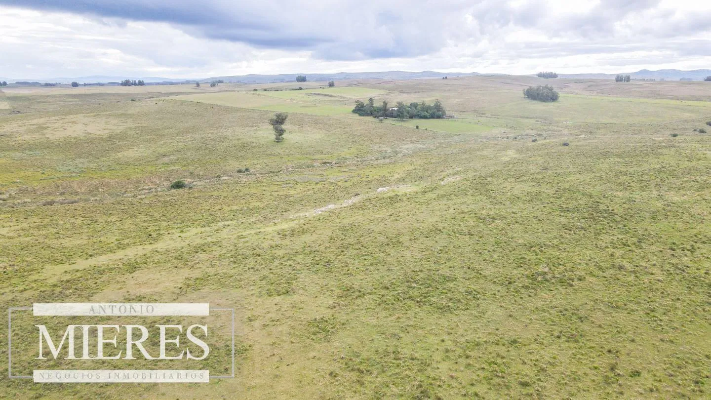 Campo de 114ha en Puntas de José Ignacio — foto 21