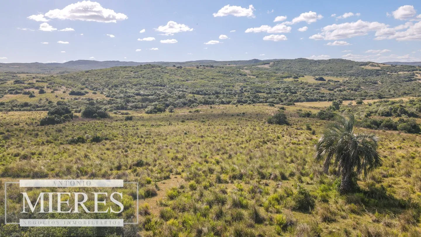Campo de 19 ha al norte de José Ignacio con arroyo — foto 15