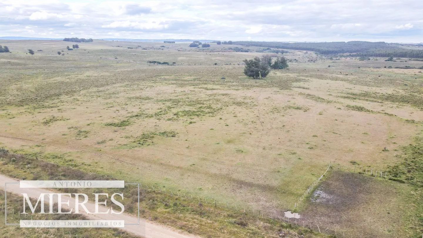 Campo de 114ha en Puntas de José Ignacio — foto 22