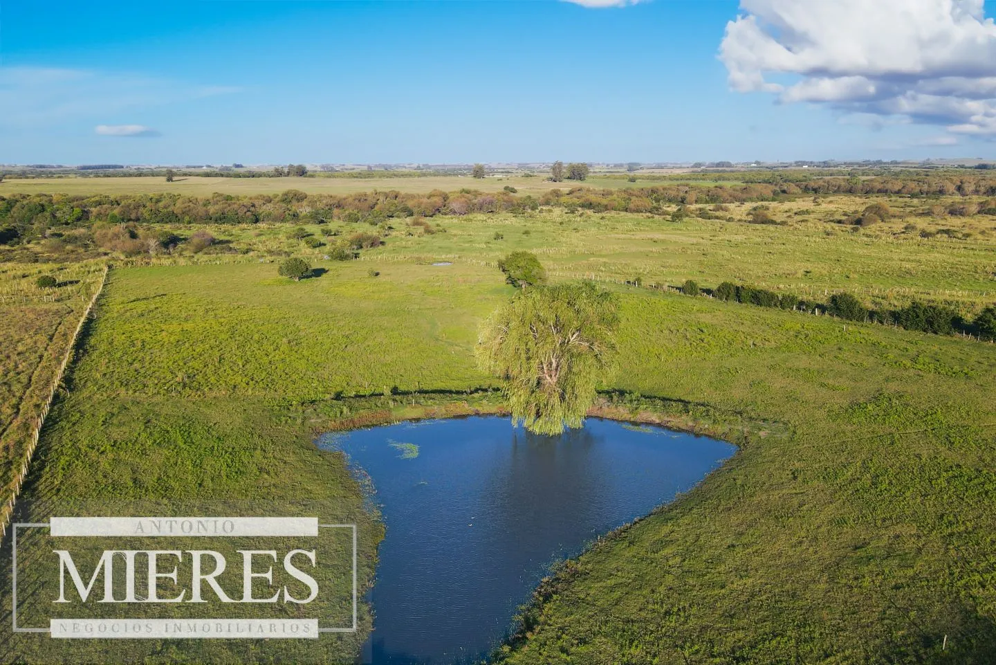 Chacra de 8ha con Casa Maldonado — foto 10