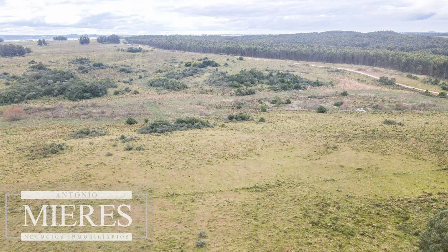Campo de 114ha en Puntas de José Ignacio — foto 23
