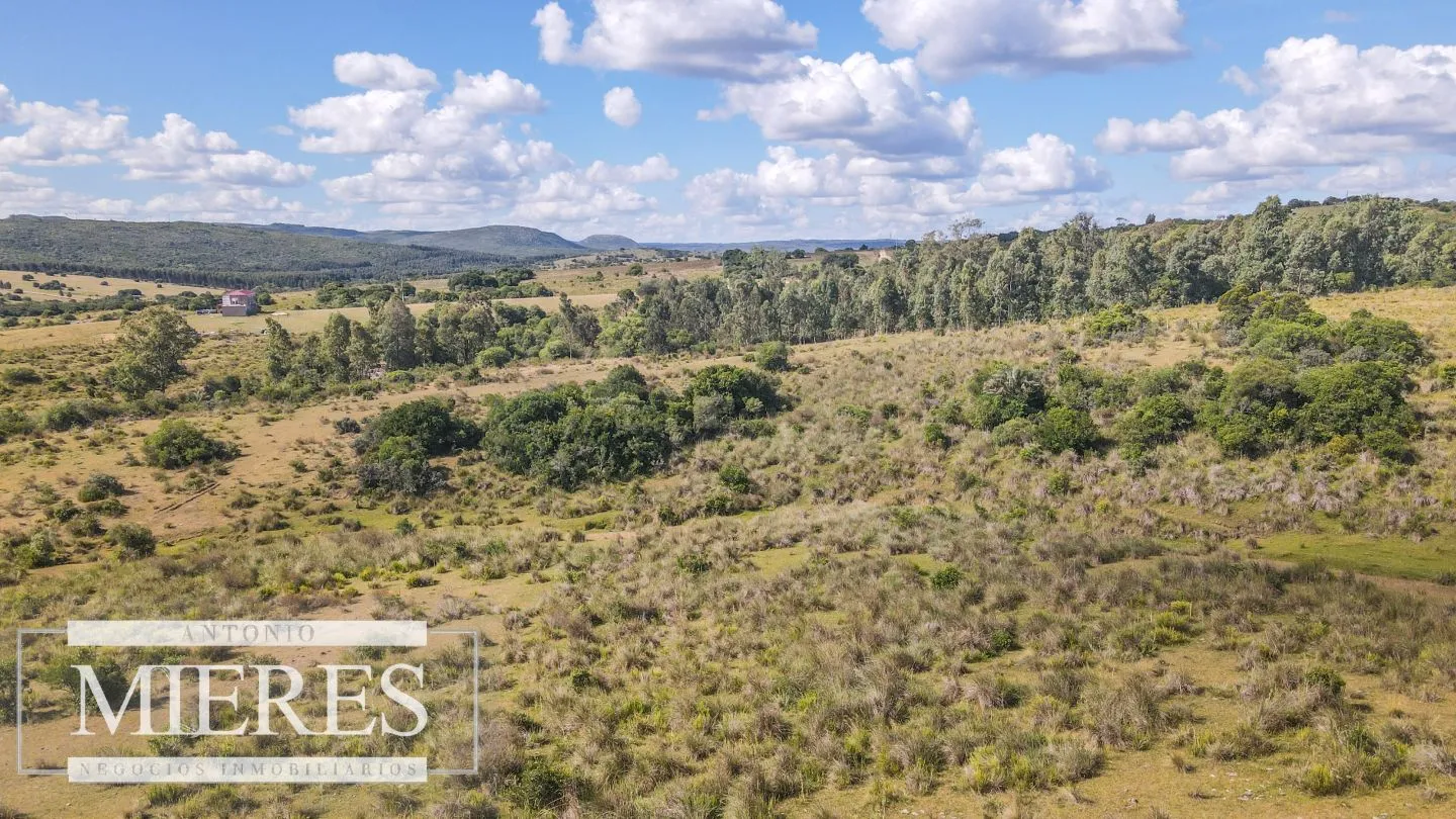 Campo de 19 ha al norte de José Ignacio con arroyo — foto 16