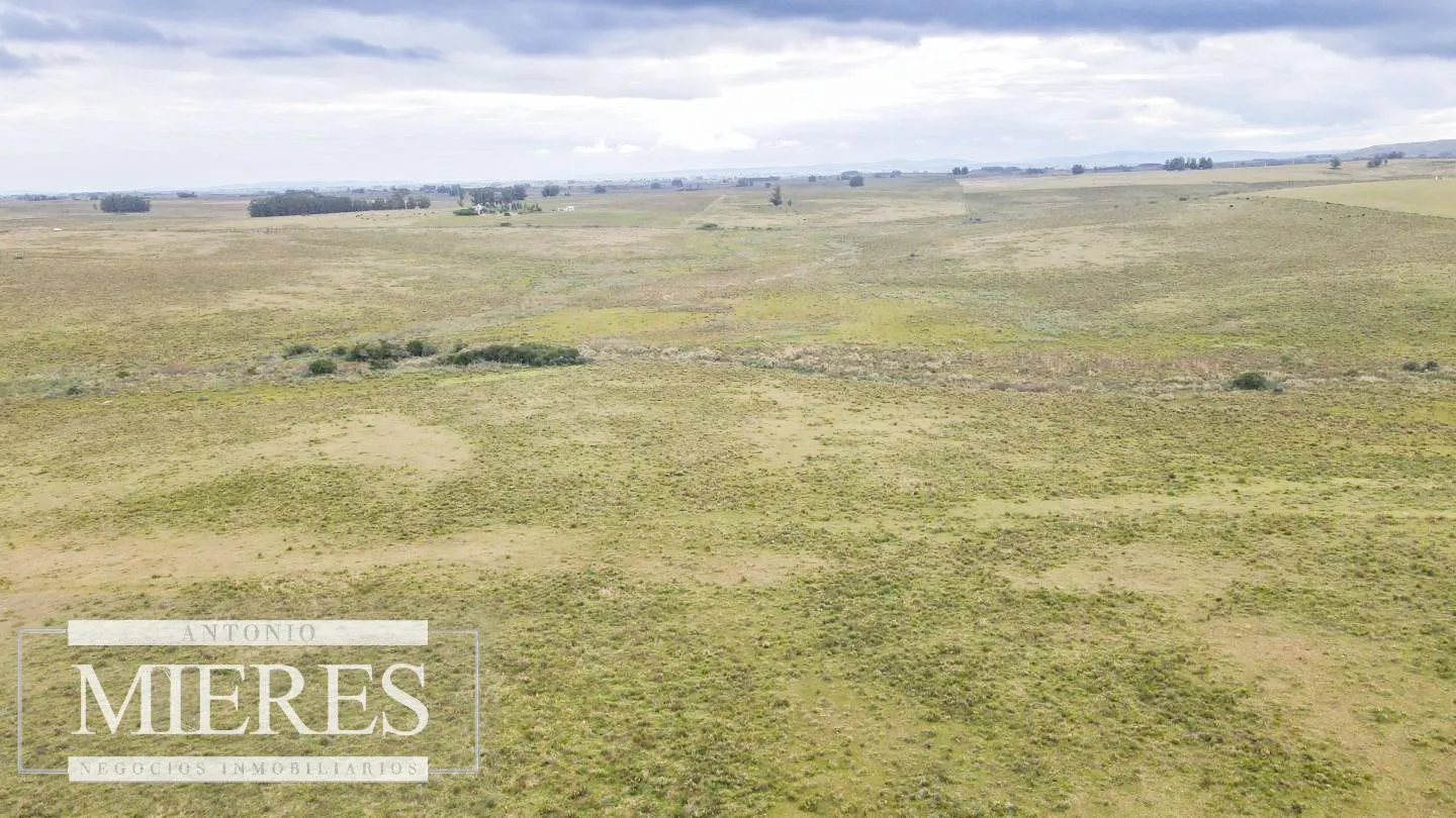 Campo de 114ha en Puntas de José Ignacio — foto 24