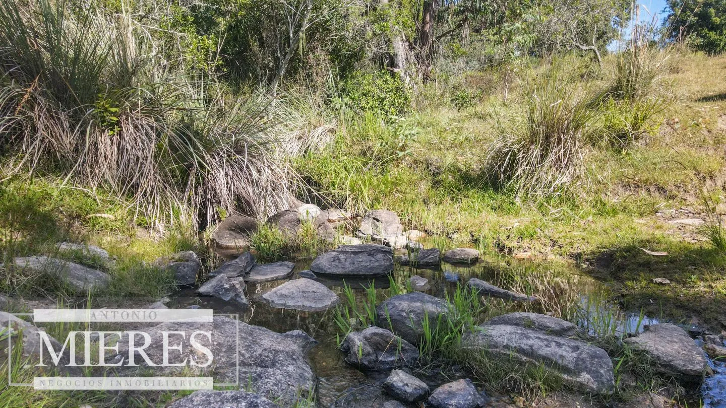 Campo de 19 ha al norte de José Ignacio con arroyo — foto 17