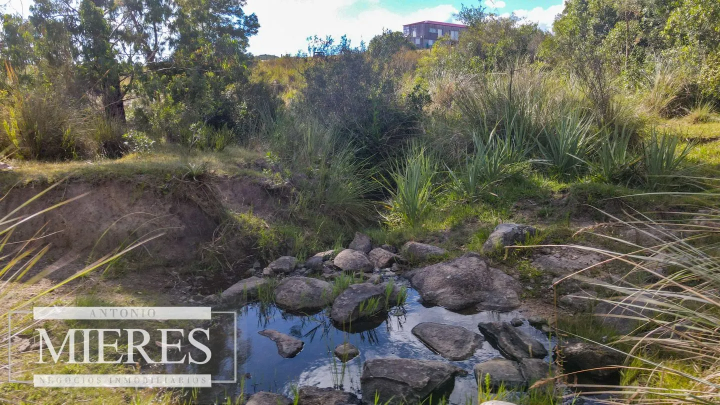 Campo de 19 ha al norte de José Ignacio con arroyo — foto 18