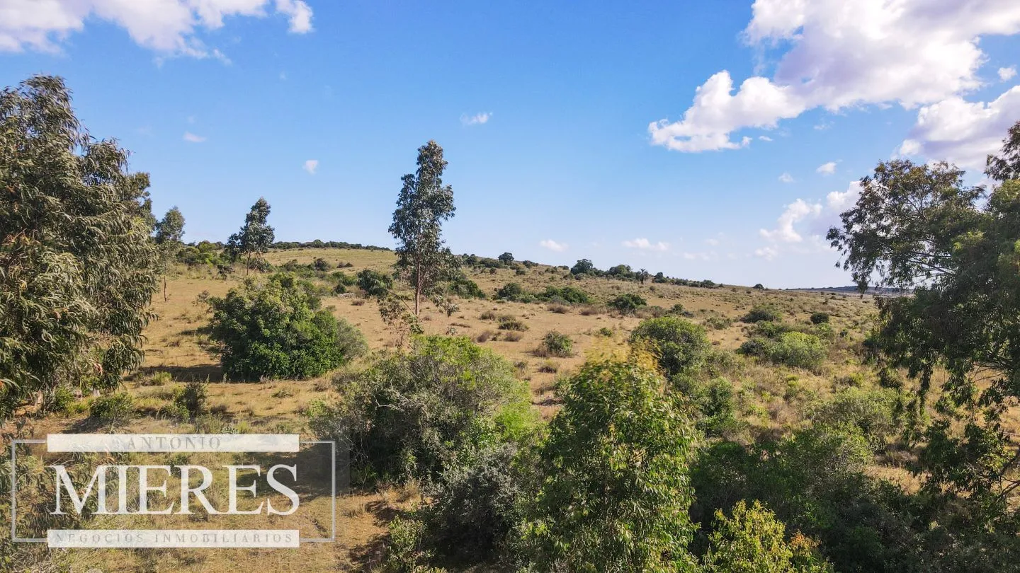 Campo de 19 ha al norte de José Ignacio con arroyo — foto 21