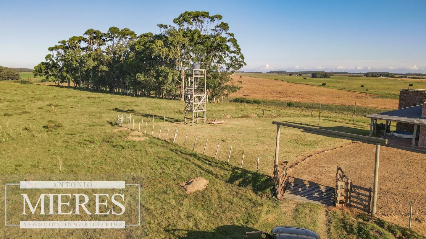 Chacra / Campo 138 ha en Las Garzas Rocha — foto 6
