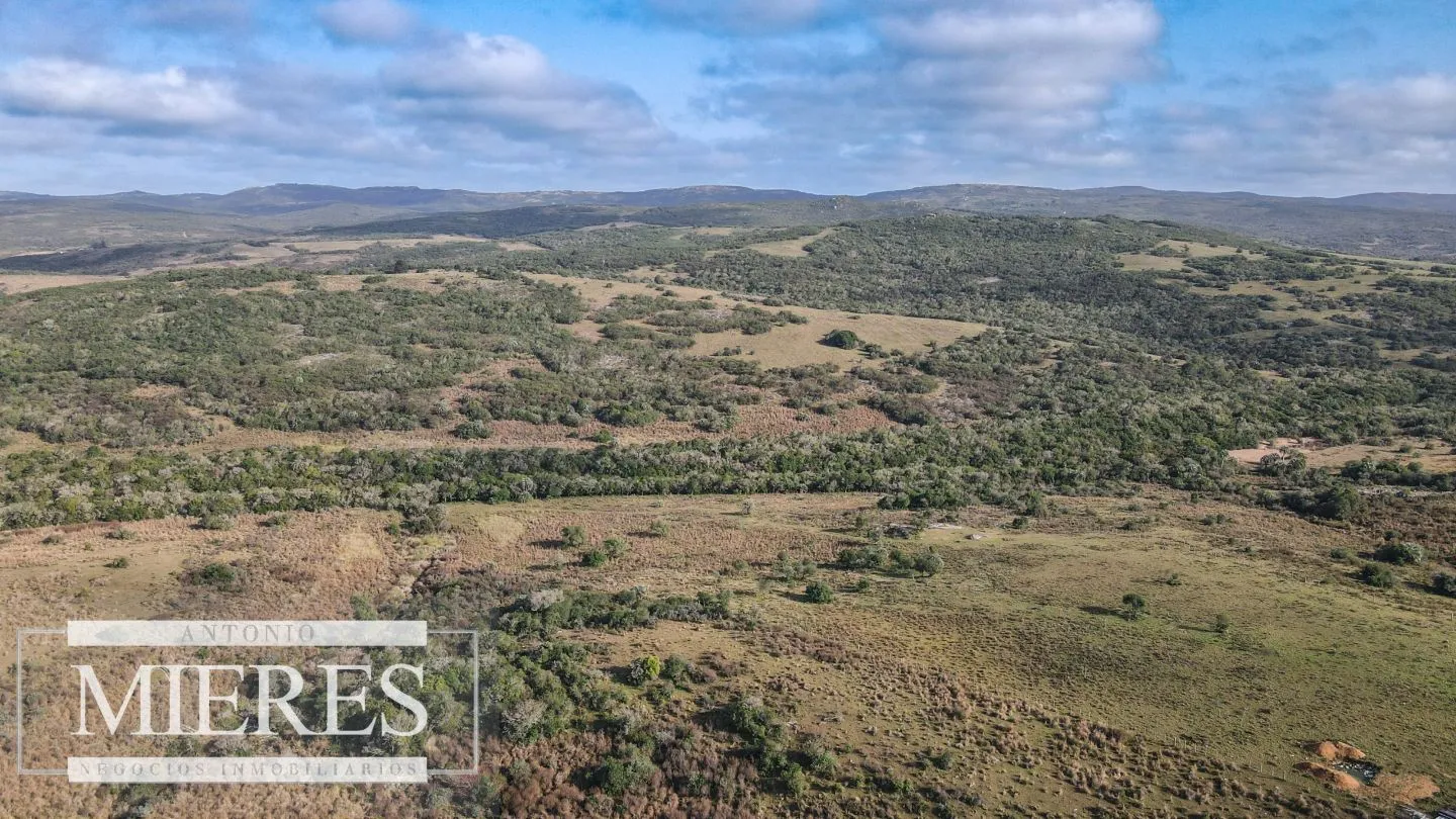 Campo de 19 ha al norte de José Ignacio con arroyo — foto 22