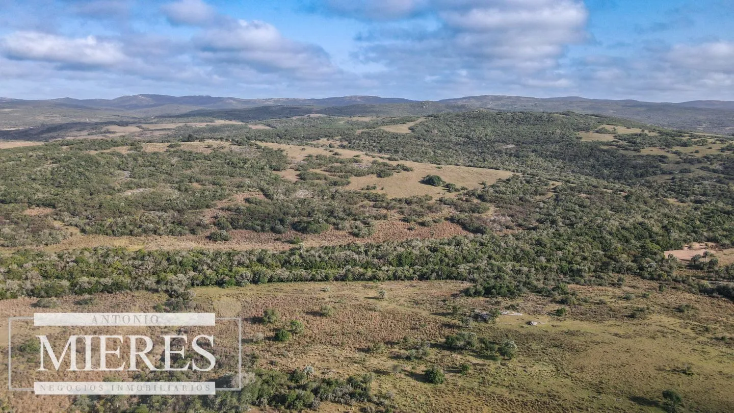 Campo de 19 ha al norte de José Ignacio con arroyo — foto 23