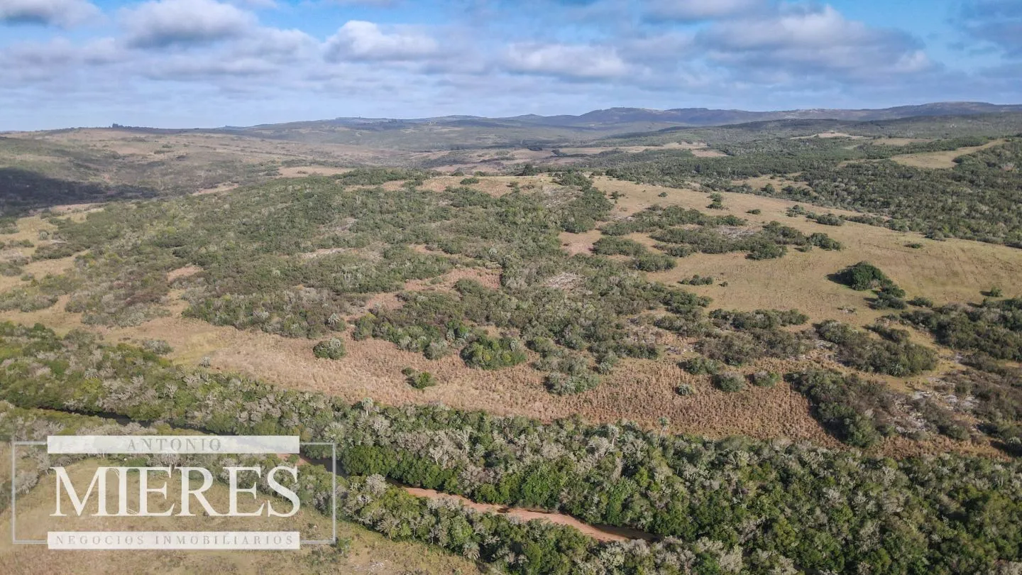Campo de 19 ha al norte de José Ignacio con arroyo — foto 24