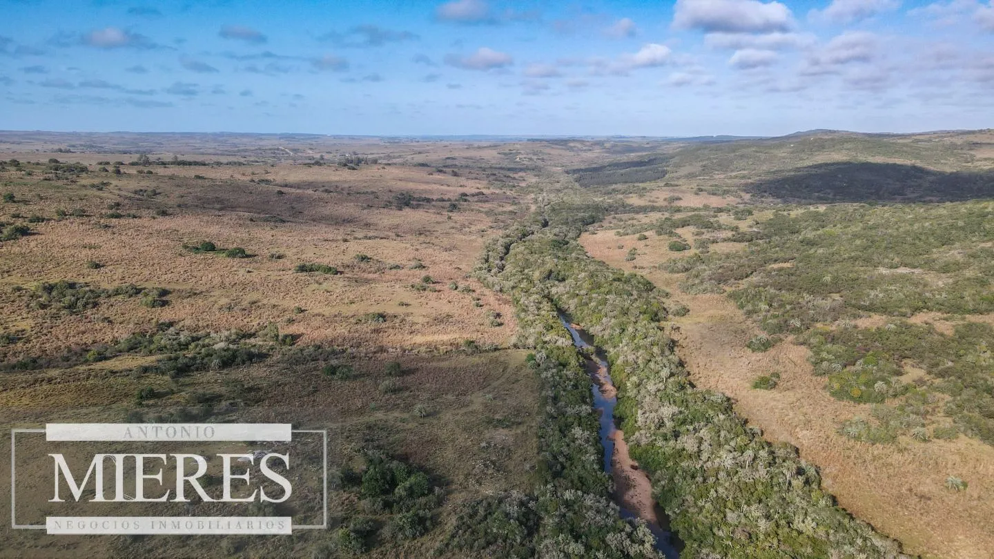 Campo de 19 ha al norte de José Ignacio con arroyo — foto 25