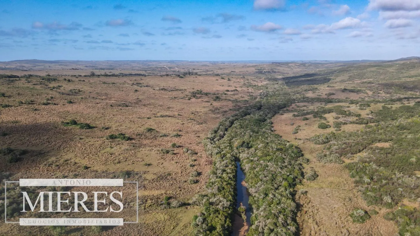 Campo de 19 ha al norte de José Ignacio con arroyo — foto 26