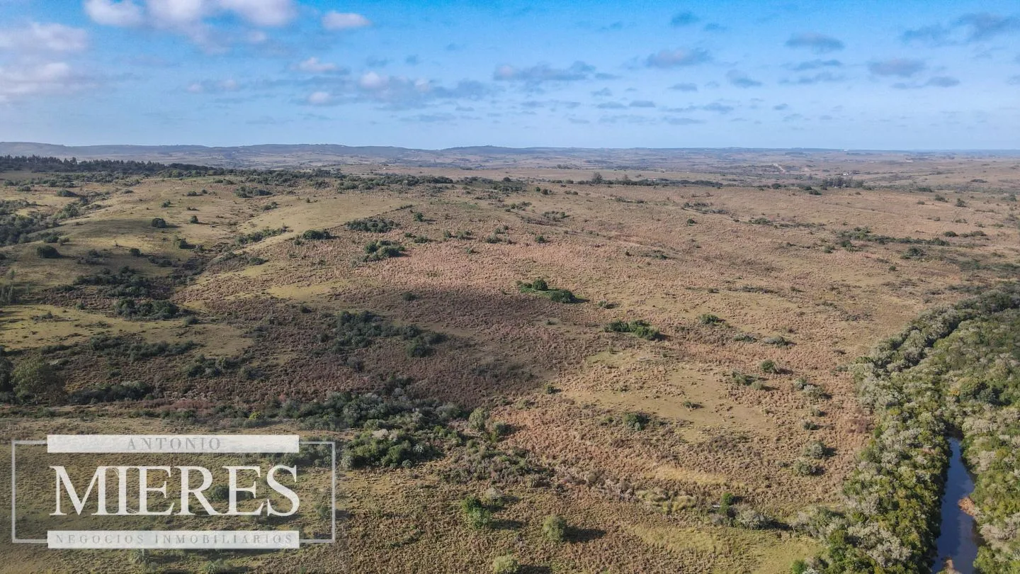 Campo de 19 ha al norte de José Ignacio con arroyo — foto 27