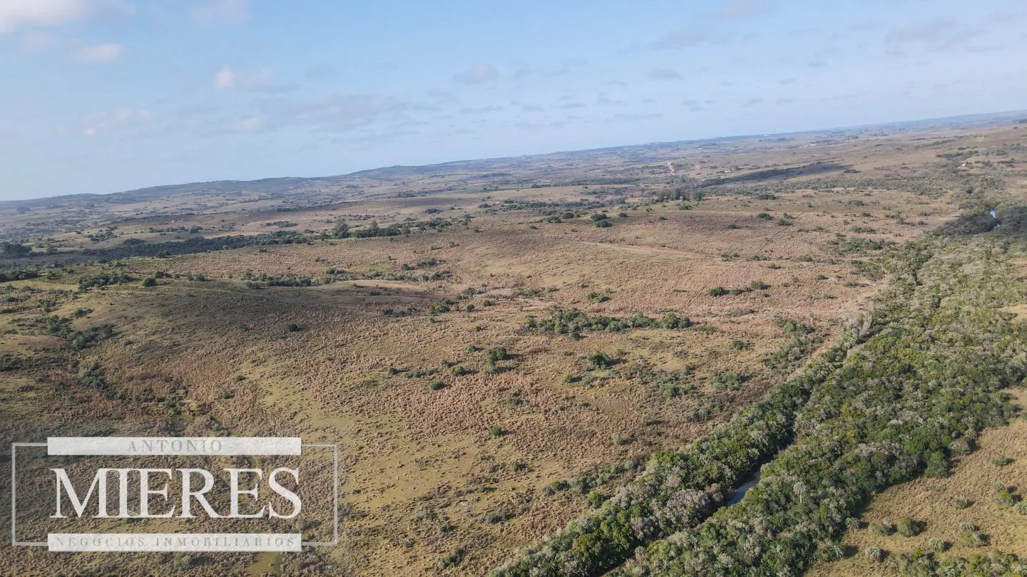 Campo de 19 ha al norte de José Ignacio con arroyo — foto 28