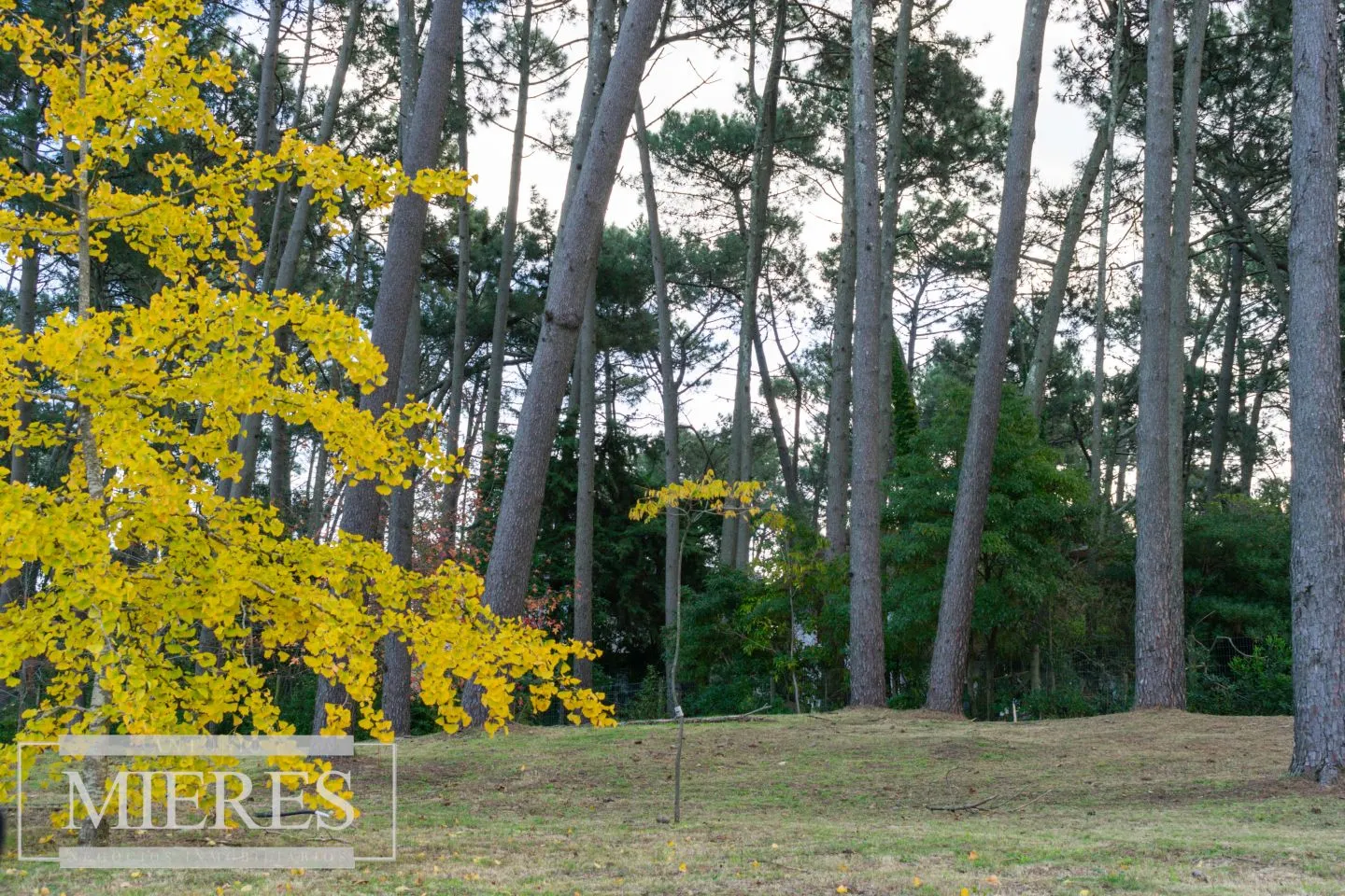 Venta lotes dentro de barrio cerrado- Pinares — foto 15