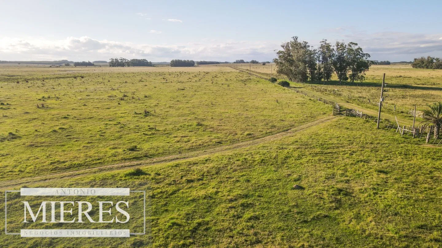 Chacra / Campo 138 ha en Las Garzas Rocha — foto 29