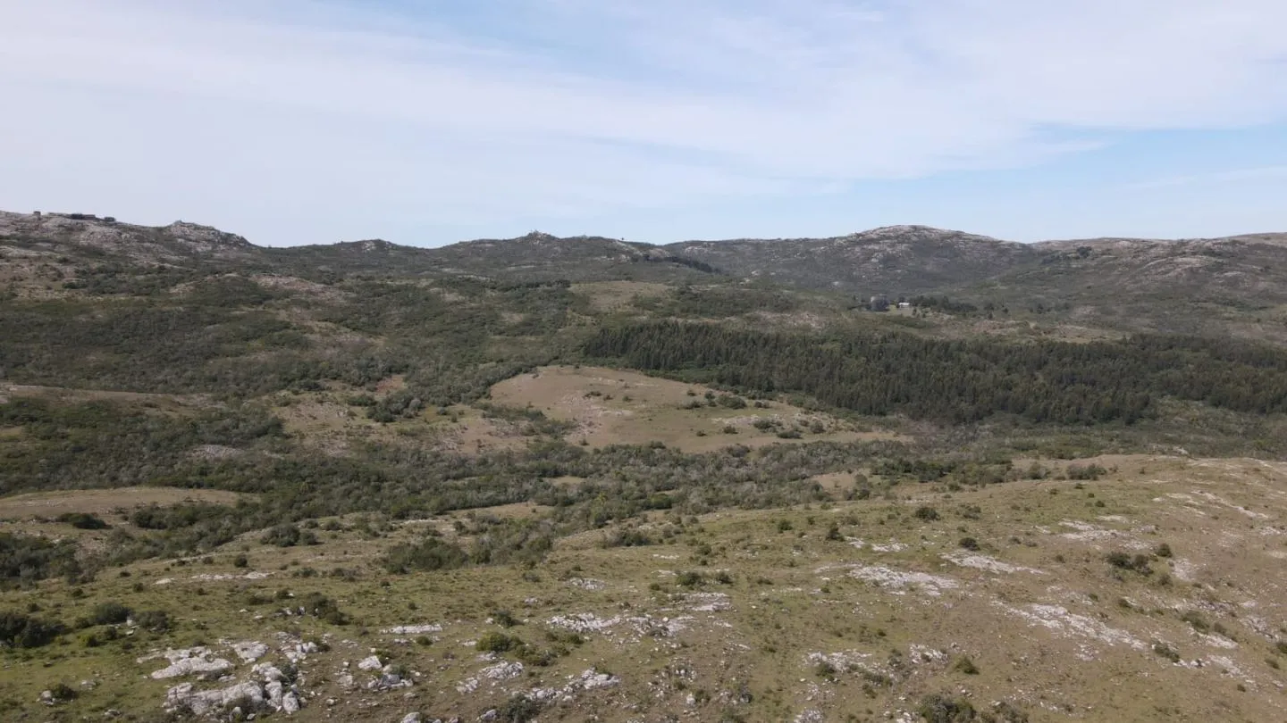 Campo de 119ha panorámico en Maldonado — foto 3