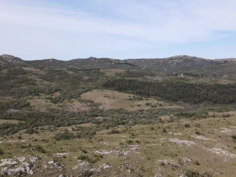 Campo de 119ha panorámico en Maldonado — foto 3
