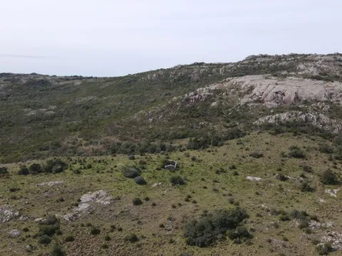Campo de 119ha panorámico en Maldonado — foto 4