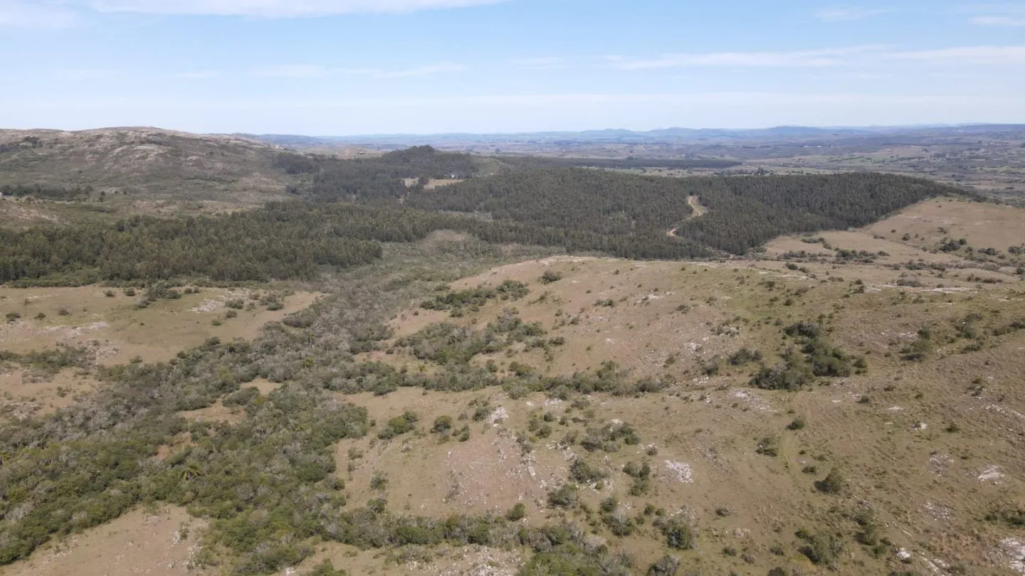 Campo de 119ha panorámico en Maldonado — foto 8